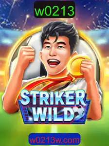Mergulhe no Mundo Empolgante de StrikerWILD: Descrição e Regras